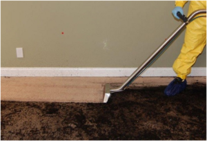 Causes of sewage backup hazards