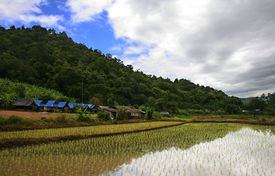 Rice Factory in Thailand Rose to Popularity