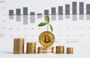 How to Be a Bitcoins Trading Agent and Make Money