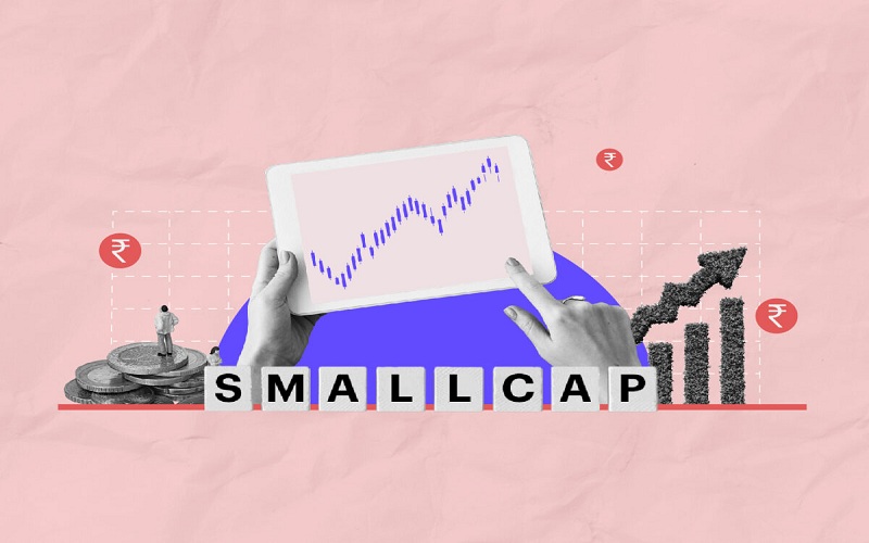 Benefits of Small-Cap Companies